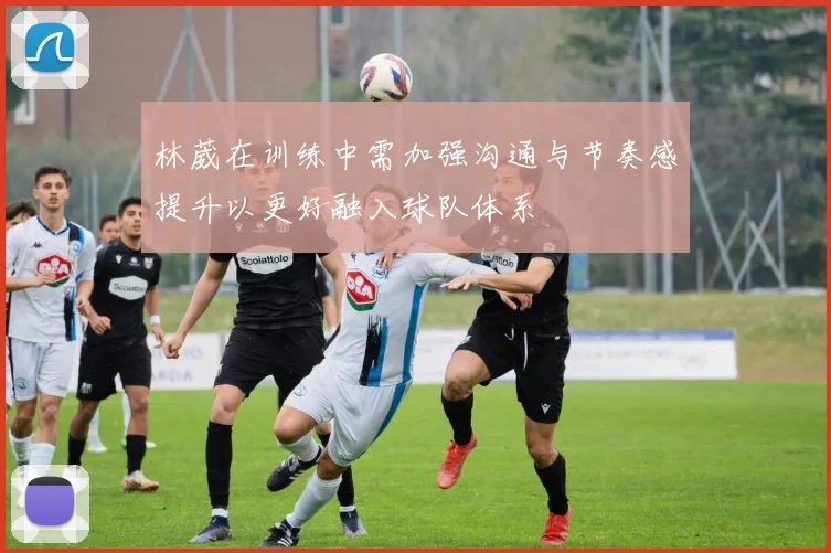 林葳在训练中需加强沟通与节奏感提升以更好融入球队体系